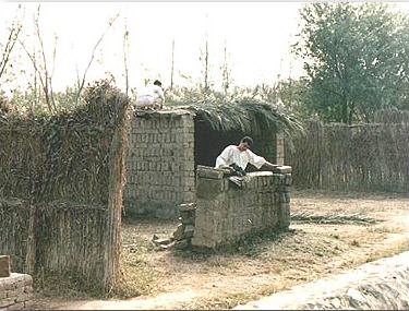 mudbrick home building